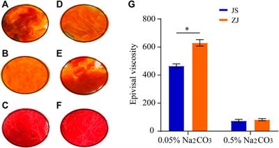 Proteomic Analysis of Silk Fibroin Reveals Diverse Biological Function of Different Degumming Processing From Different Origin